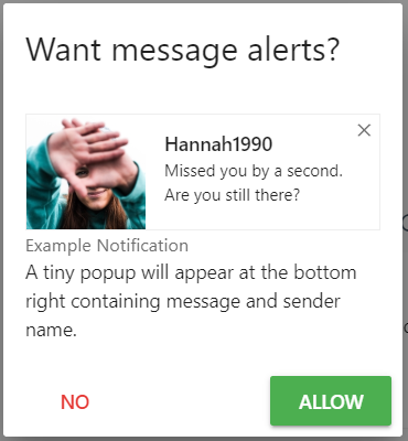 notification prompt image